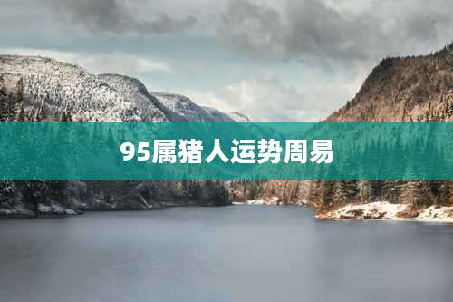 95属猪人运势周易