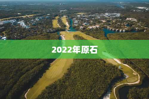 2022年原石