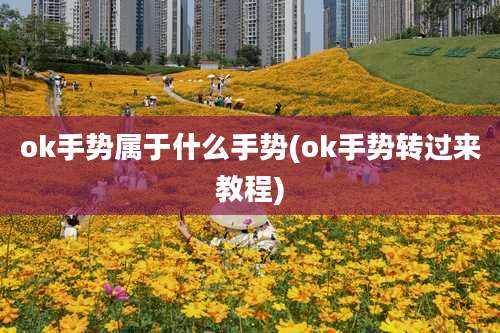 ok手势属于什么手势(ok手势转过来教程)