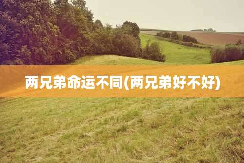 两兄弟命运不同(两兄弟好不好)