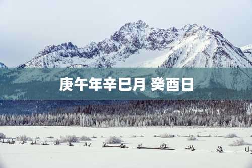 庚午年辛巳月 癸酉日