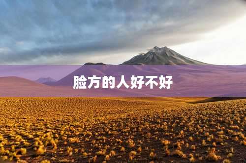 脸方的人好不好