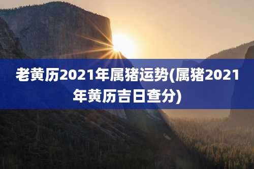 老黄历2021年属猪运势(属猪2021年黄历吉日查分)