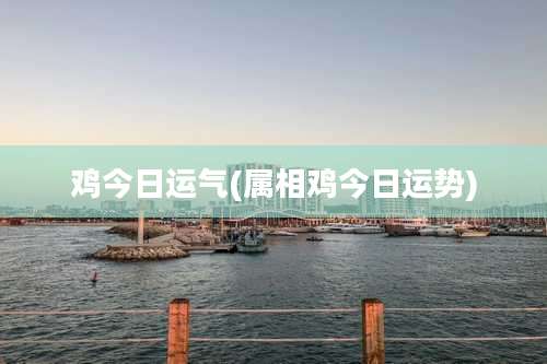 鸡今日运气(属相鸡今日运势)