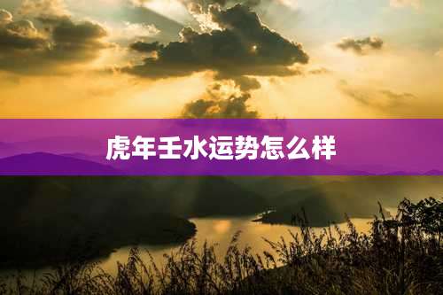 虎年壬水运势怎么样