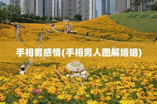 手相男感情(手相男人图解婚姻)