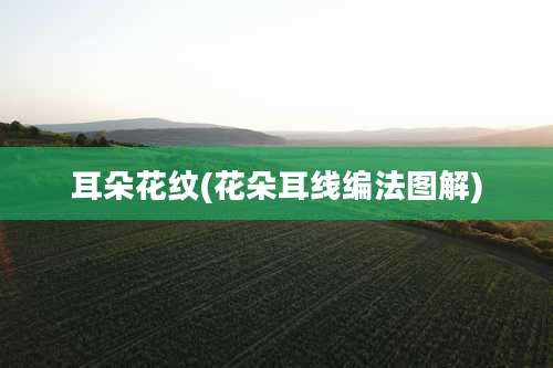 耳朵花纹(花朵耳线编法图解)