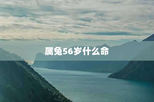 属兔56岁什么命