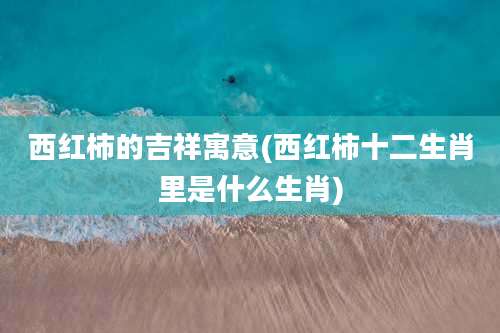 西红柿的吉祥寓意(西红柿十二生肖里是什么生肖)