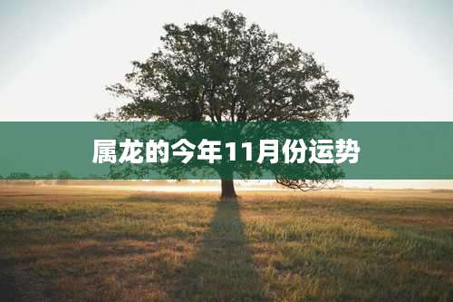 属龙的今年11月份运势