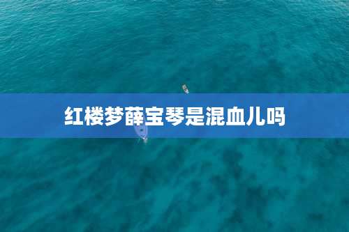 红楼梦薛宝琴是混血儿吗