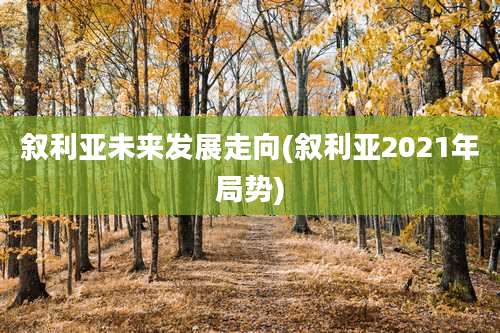 叙利亚未来发展走向(叙利亚2021年局势)