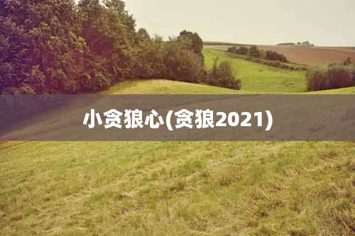 小贪狼心(贪狼2021)