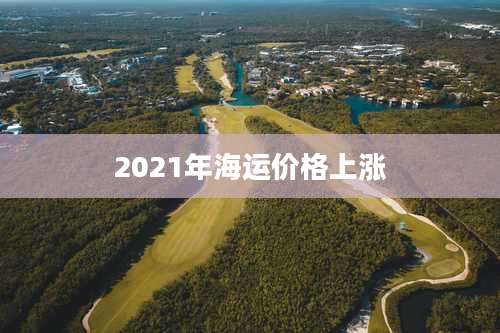 2021年海运价格上涨