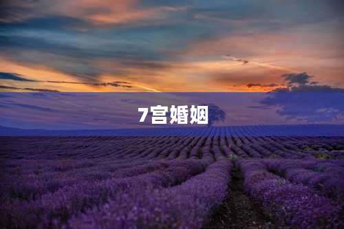 7宫婚姻