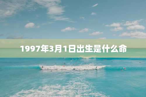 1997年3月1日出生是什么命
