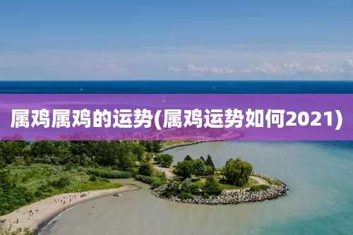 属鸡属鸡的运势(属鸡运势如何2021)