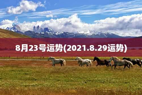 8月23号运势(2021.8.29运势)