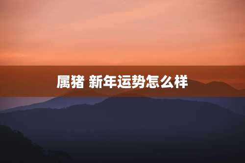 属猪 新年运势怎么样