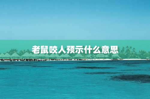 老鼠咬人预示什么意思