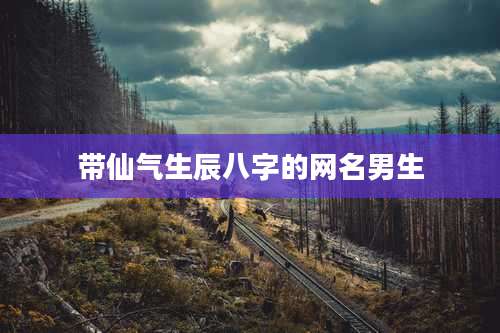 带仙气生辰八字的网名男生