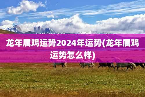 龙年属鸡运势2024年运势(龙年属鸡运势怎么样)