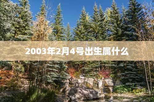 2003年2月4号出生属什么