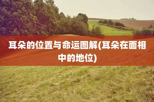 耳朵的位置与命运图解(耳朵在面相中的地位)