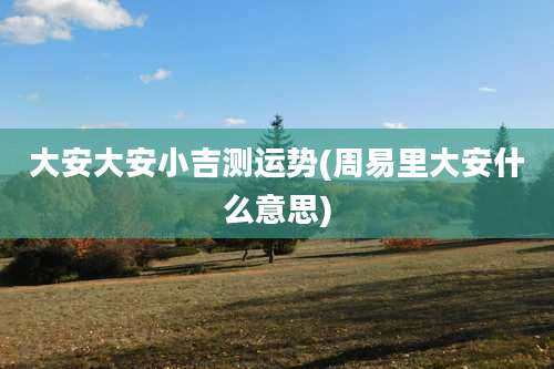 大安大安小吉测运势(周易里大安什么意思)