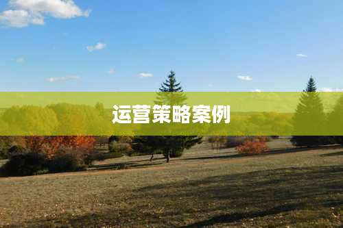 运营策略案例