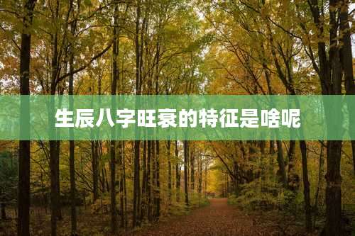 生辰八字旺衰的特征是啥呢