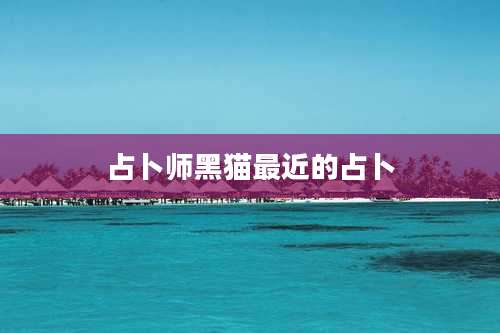 占卜师黑猫最近的占卜