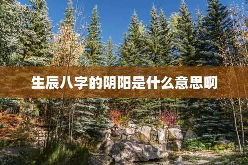 生辰八字的阴阳是什么意思啊