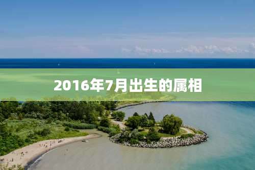 2016年7月出生的属相