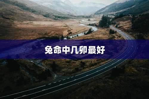 兔命中几卯最好