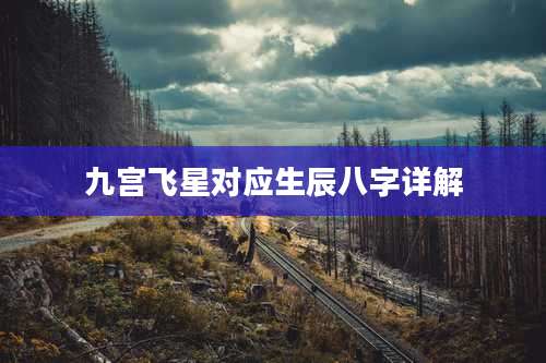 九宫飞星对应生辰八字详解