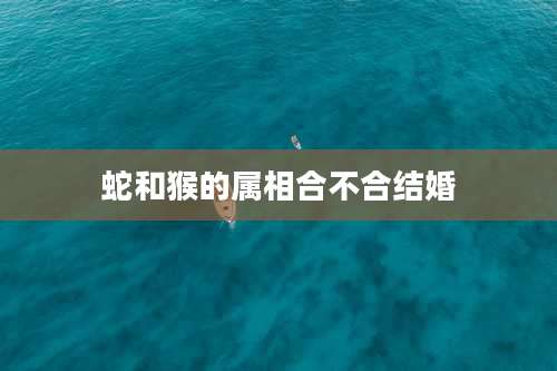 蛇和猴的属相合不合结婚