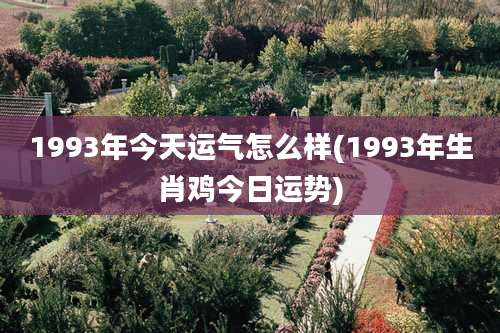 1993年今天运气怎么样(1993年生肖鸡今日运势)