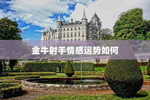 金牛射手情感运势如何