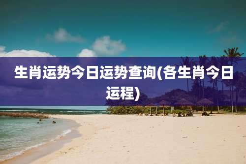 生肖运势今日运势查询(各生肖今日运程)