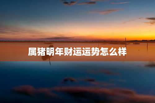 属猪明年财运运势怎么样