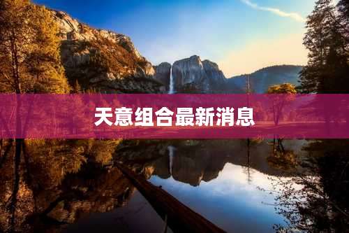 天意组合最新消息