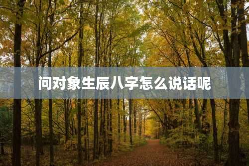 问对象生辰八字怎么说话呢