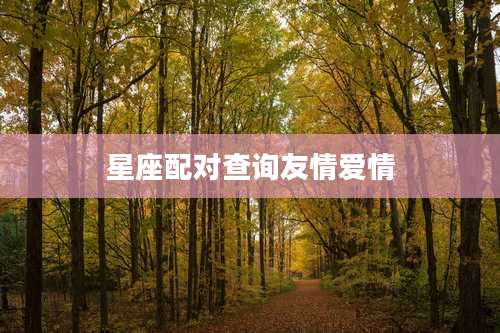 星座配对查询友情爱情