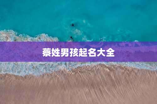 蔡姓男孩起名大全