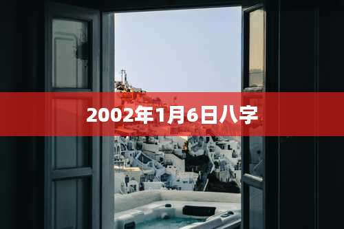 2002年1月6日八字
