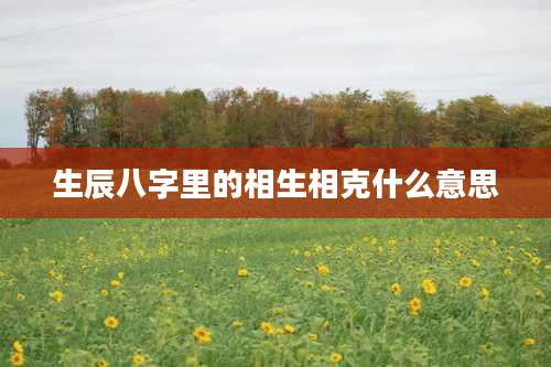 生辰八字里的相生相克什么意思