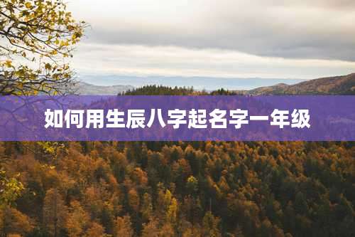 如何用生辰八字起名字一年级
