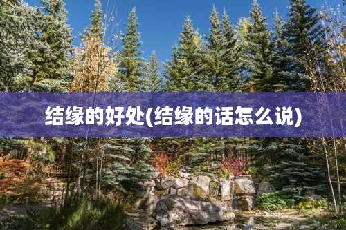 结缘的好处(结缘的话怎么说)
