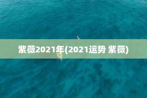 紫薇2021年(2021运势 紫薇)